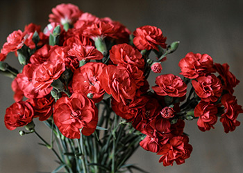 Father’s Day flowers